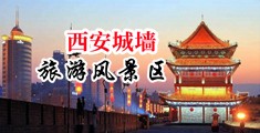 爆操性感美女逼中国陕西-西安城墙旅游风景区