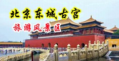 欧美插插中国北京-东城古宫旅游风景区